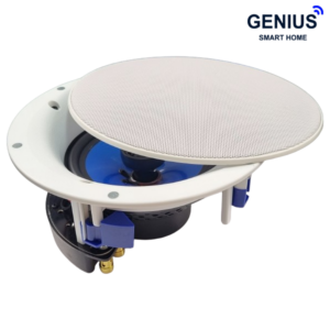 اسپیکر سقفی 100 وات Fg-sound مدل fg-618