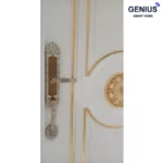 دستگیره هوشمند کلاسیک C200