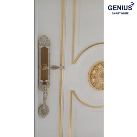 دستگیره هوشمند کلاسیک C200