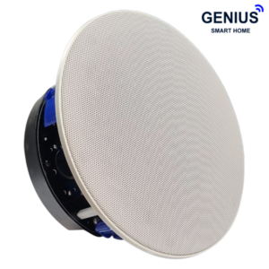 اسپیکر سقفی 100 وات Fg-sound مدل fg-618