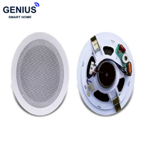 اسپیکر سقفی FG-Sound مدل FG-885