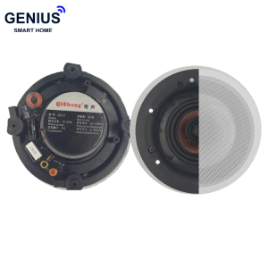 اسپیکر سقفی FG-Sound مدل FG-Q5