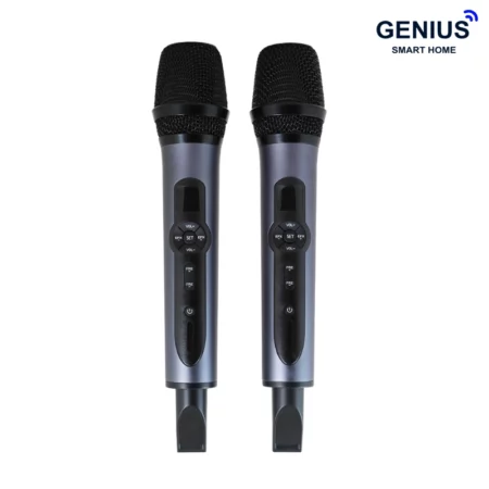 میکروفن بی سیم دستی دوبل MIC2