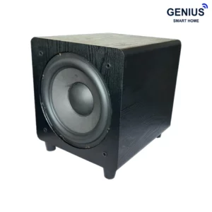 ساب‌ووفر D10 (10 inch)